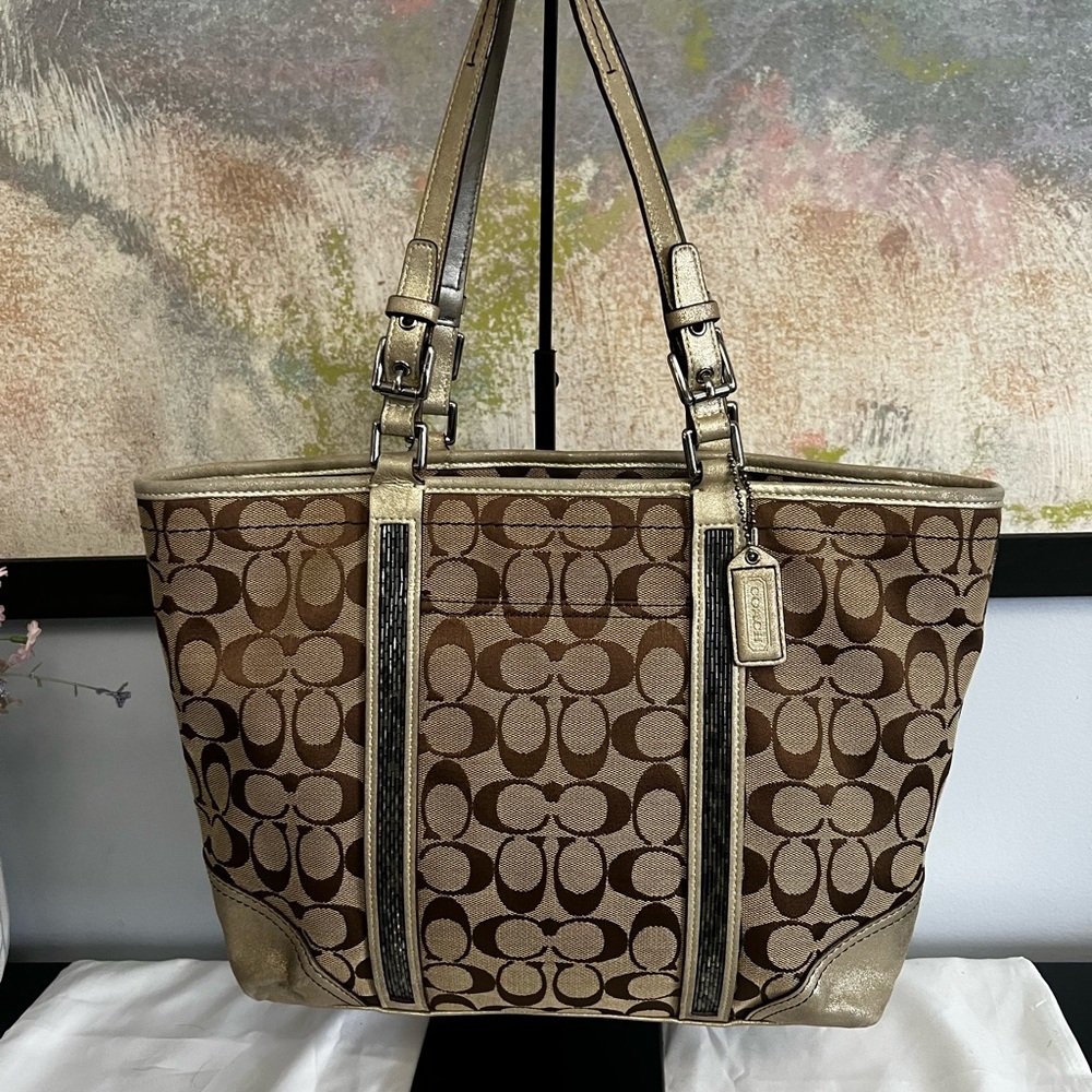 Coach Signature Canvas Tote in Brown/Gold and Silver Glitter Stripes